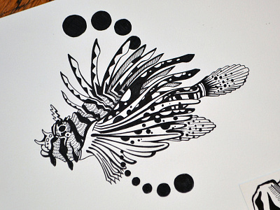 Lionfish black and white bw drawing fish illustration ink lionfish