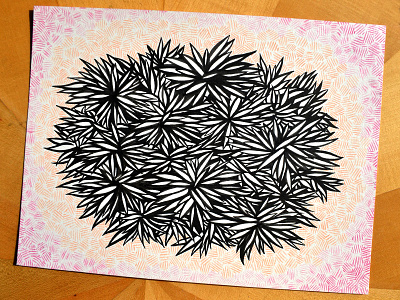 Urchin black and white blackandwhite bush bw illustration ink leaves orange pink spikey urchin