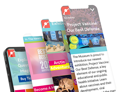 Boston Science Museum - Web App adobe xd graphic design science ui uiux ux web app