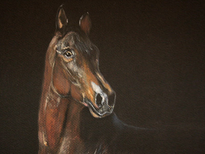 Horse Painting drawing horse oil painting