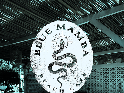 Blue Mamba Surf Logo Design design lifestyle outdoors snake surf surfing