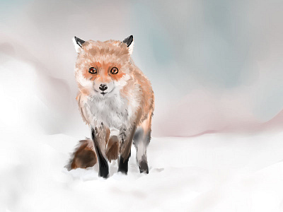 Winter Fox animal animal illustration character design fox friend illustration painting pastel puppy snow wildlife winter