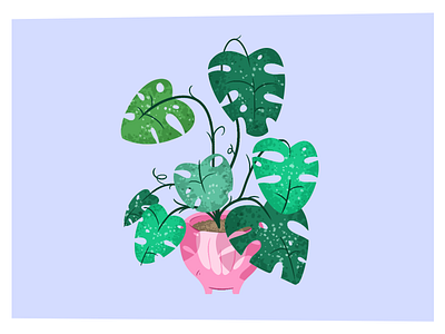 My Monstera green illustration kylebrushes leaves lightblue monstera photoshop plant summer