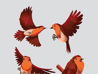 bird bird design illustration logo vector