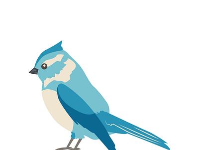 bird bird design illustration vector