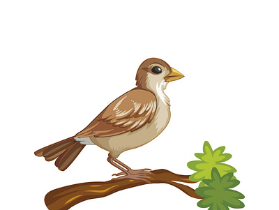 bird bird design illustration vector