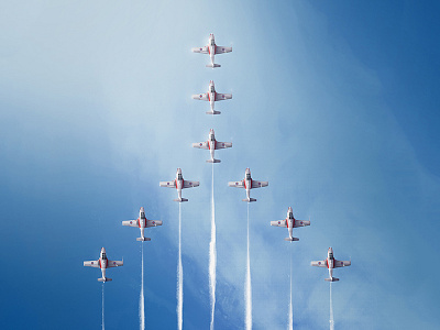 Canadian Forces Snowbirds