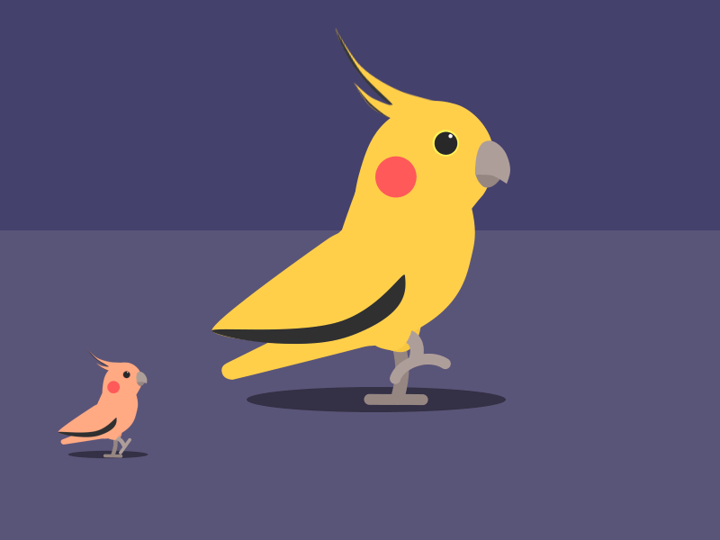Keep up! 2d animal animation baby bird cycle gif motion parrot walk wings