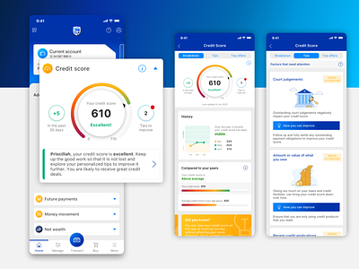 Standard Bank Credit Score add-on add on app app design banking credit score financial app standard bank ui ux