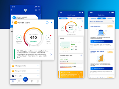 Standard Bank Credit Score add-on