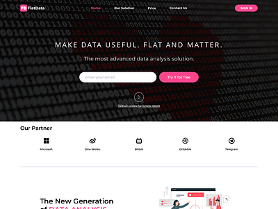 Flatdata - Home Page design ui web