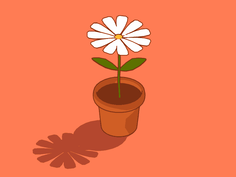 Flower - Daily render c4d flower sketch toon