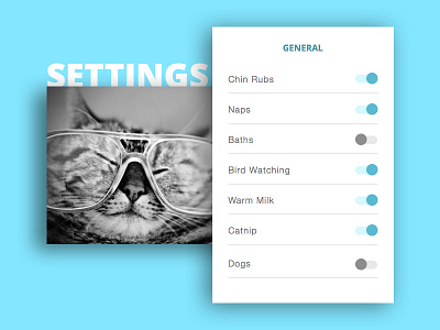 Daily UI 007 | Settings