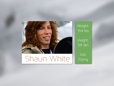 Shaun Profile Widget