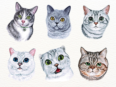 Watercolor Cat Portraits cat portrait custom portrait design illustration watercolor watercolor clipart