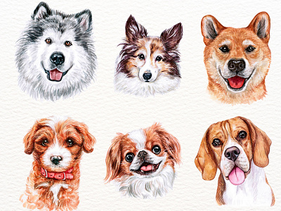 Watercolor Dog Portraits custom portrait design illustration watercolor watercolor clipart