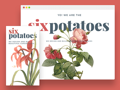 Six Potatoes Website flowers site six web