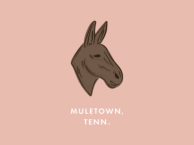 Muletown, Tenn. adobe columbia futura hand drawn horse illustrator mule pro create procreate profile tennessee