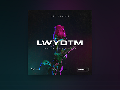 LWYDTM - Album Artwork