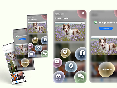 Share Screen - Daily UI Challenge app daily ui gradient graphic design icon mobile photo share ui