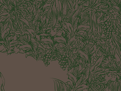 Detail botany drawing lineart plant