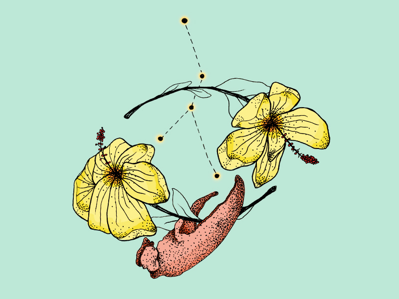 Cancer sign dribbble