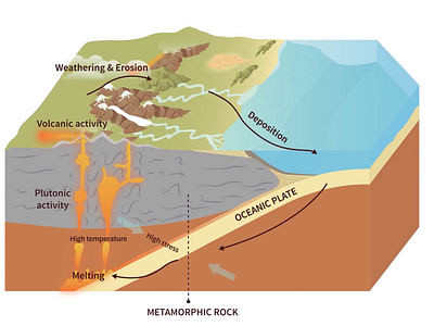 Metamorphic Rock