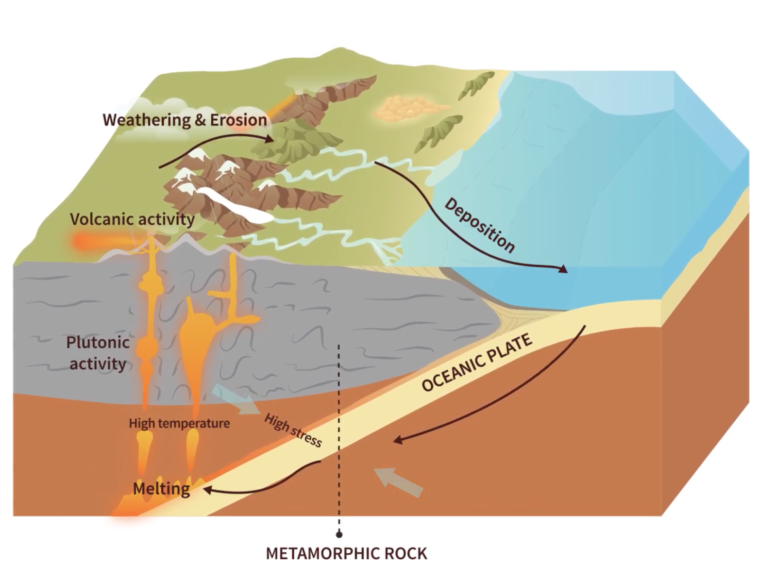 Metamorphic Rock by F. Learning Studio on Dribbble