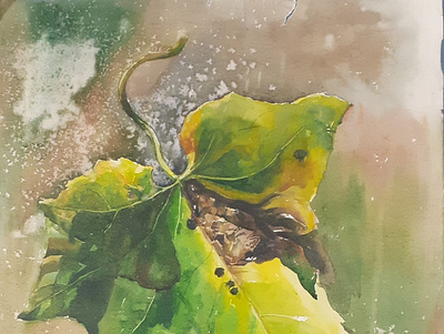 Water Color illustration watercolor