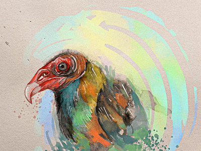 Watercolor Eagle, handmade+ digital combination. adobefresco handmade illustration logo watercolor