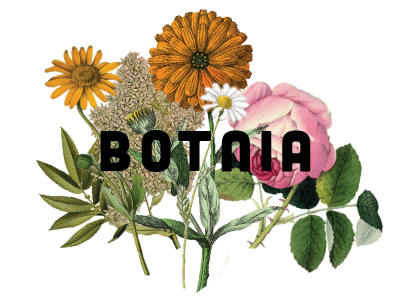 Botnia Logo Idea