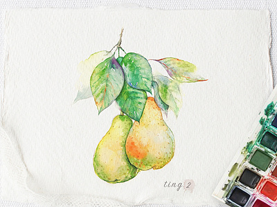 New Shot - 12/03/2018 at 09:14 AM pear water color