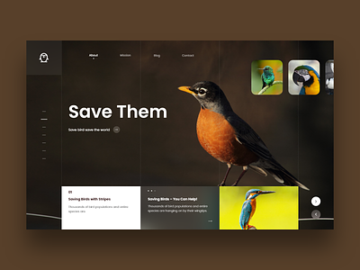 Save Bird landing page design