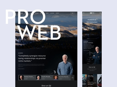 Pro Web