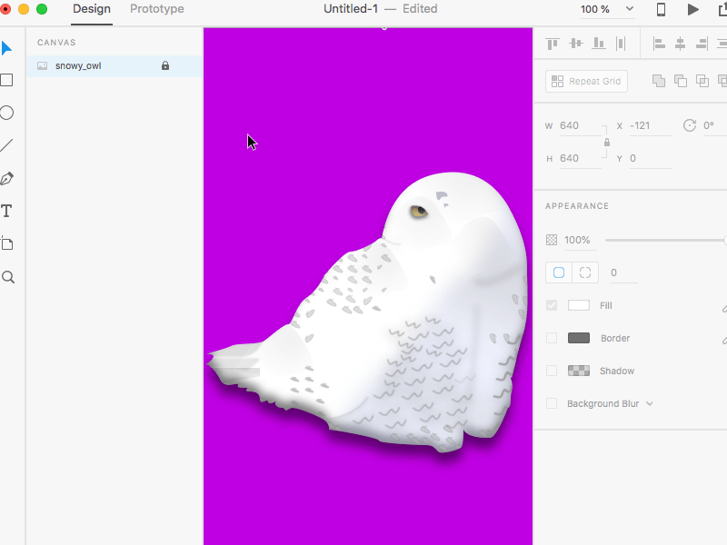 How to create a dashed text in Adobe Xd by Amos Gyamfi on Dribbble