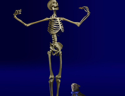 Kitty cat cookie photoshop skeleton