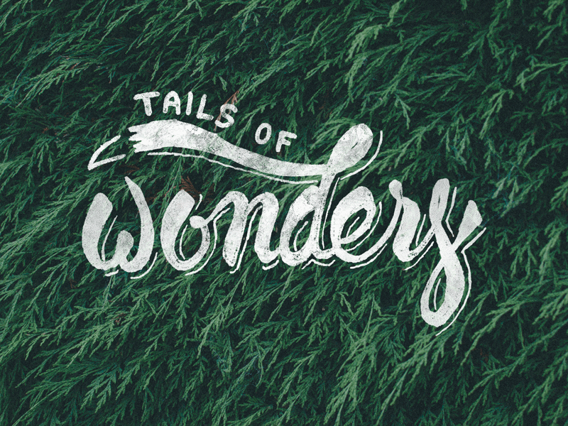 Tails of Wonders logo animated fox lettering tail typography