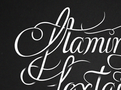 Flaming Foxtail custom drawn f flaming fox foxtail freehand hand hand drawn handdrawn letter lettering swirls swirly type typography