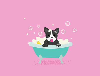 DOG Illustration bath dog dogsalon graphic design groomer illustration vector