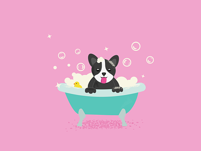 DOG Illustration