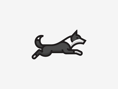 Border Collie animal border collie dog icon logo