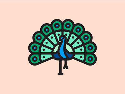 Peacock bird icon illustration logo peacock vancouver