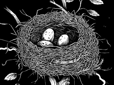 Shirt Illustration bird nest illustration t shirt