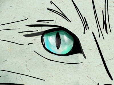 yeti cat eye