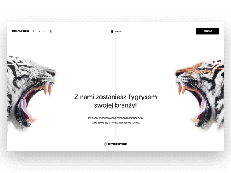 Social Tigers - website animation design menu social tiger ux website