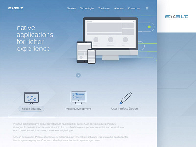 Exalt Website Design app application design it mobile responsive tech web website