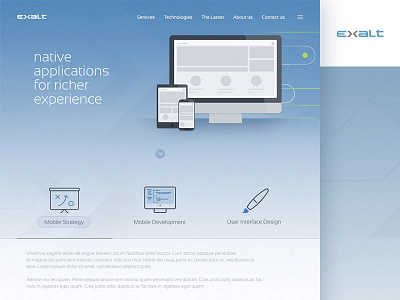 Exalt Website Design