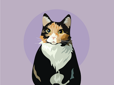 Catto Portrait design graphic design illustration vector