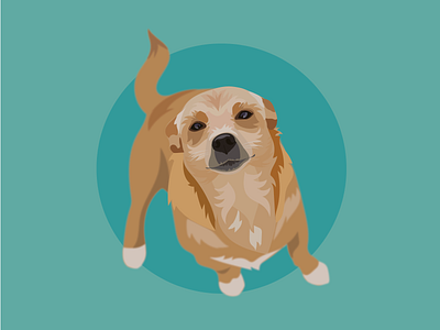 Happy Doggo design graphic design illustration vector