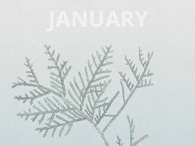 Wallpaper - January